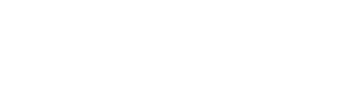 Logo bameco